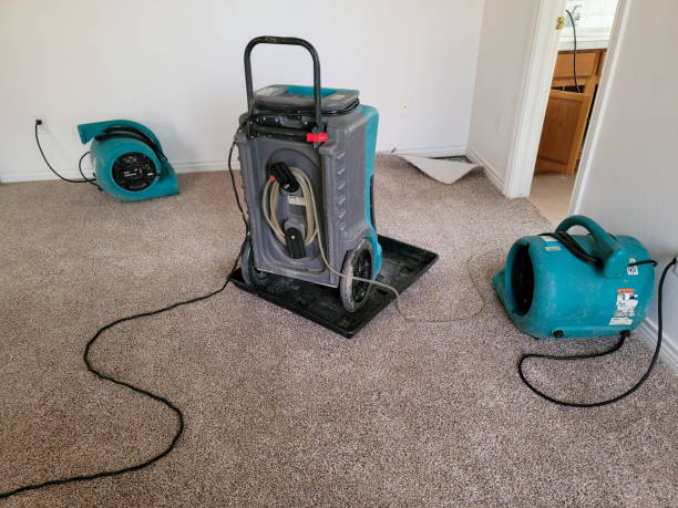 Best Professional water damage repair  in Anniston, AL