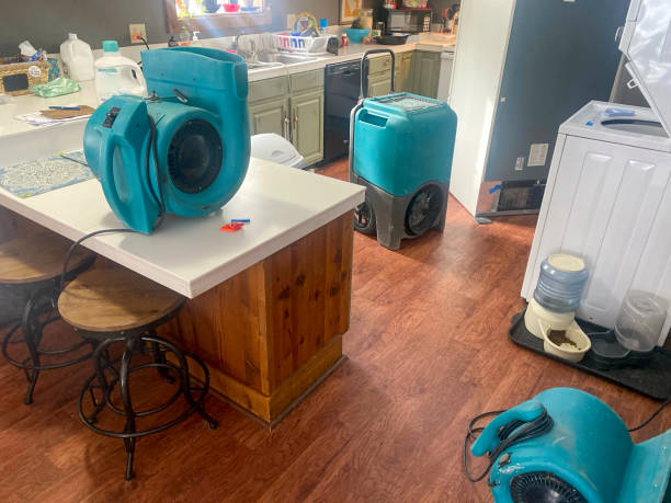 Carpet water damage restoration in Anniston, AL
