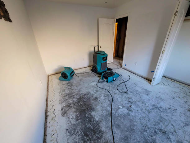 Professional Water damage restoration in Anniston, AL