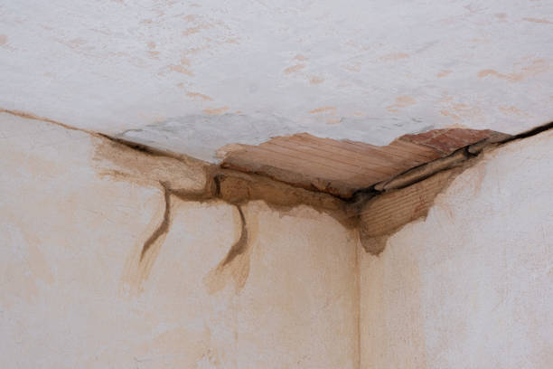 Best Flooded house restoration  in Anniston, AL
