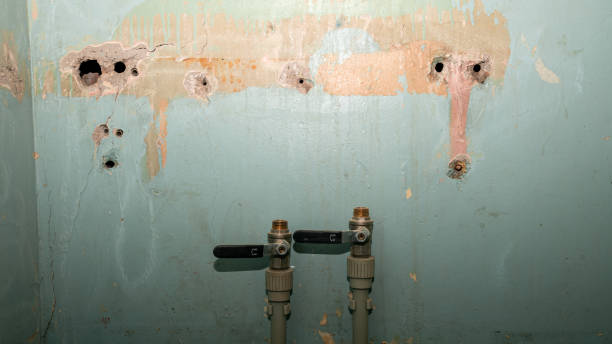 Best Fire Damage Restoration  in Anniston, AL