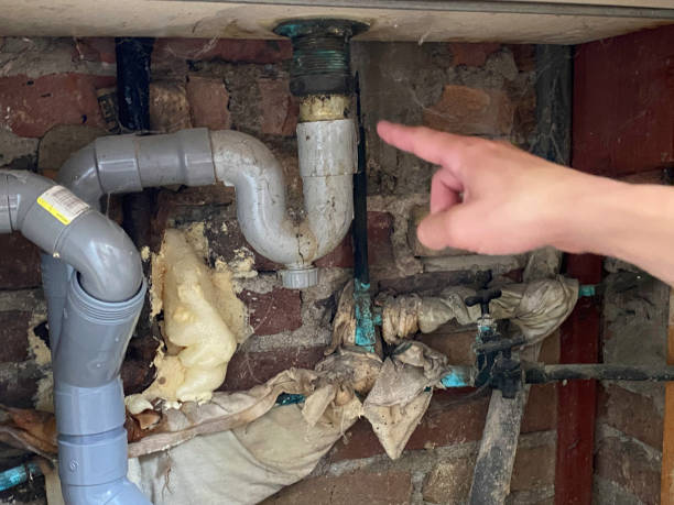 Best Local water damage restoration  in Anniston, AL