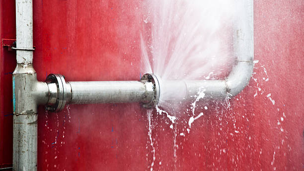Best Basement water damage restoration  in Anniston, AL