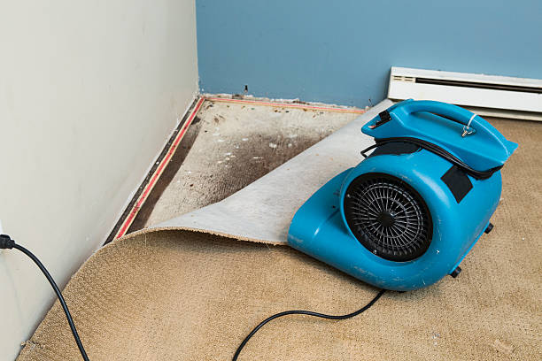 Best Local water damage restoration  in Anniston, AL